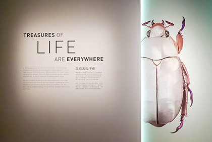 A typical graphic introduction panel for each gallery. A typical graphic introduction panel for each gallery.